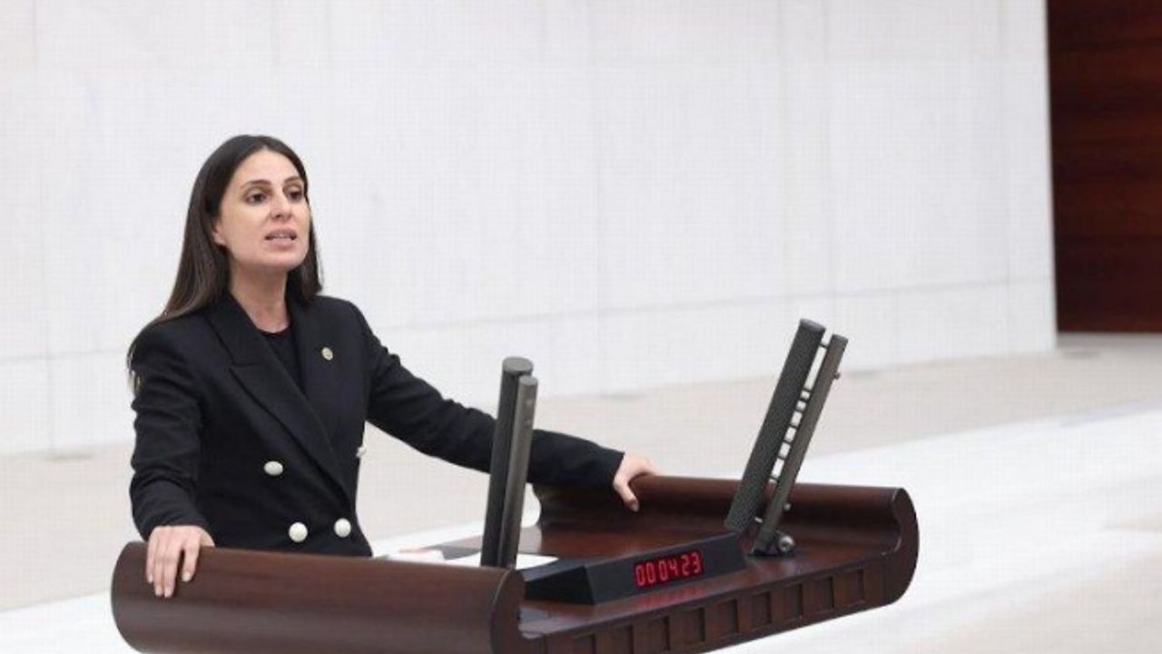 CHP'li Özcan: "Muğla, turist sayısına göre merkezi bütçeden pay almalıdır"