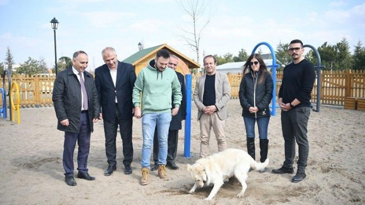 Kayseri'de köpek eğitim parkı Millet Bahçesi'nde hizmete hazır