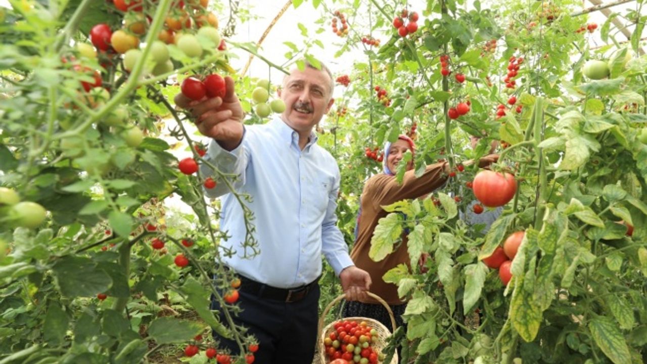 Büyükşehir’den yüzde 50 hibeli modern sera desteği