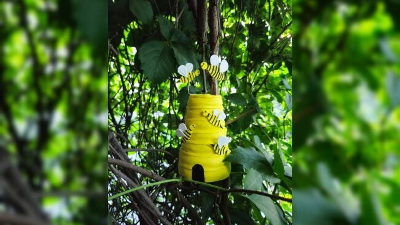 FYZoo'da Dünya Arı Günü Kutlaması Etkinliği Başladı: 'Bal Arıları Atölyesi’