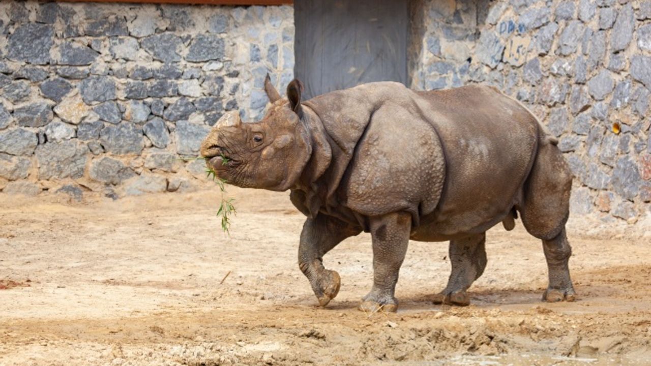 FYZoo’da hafta içi park girişlerinde yüzde 50 indirim