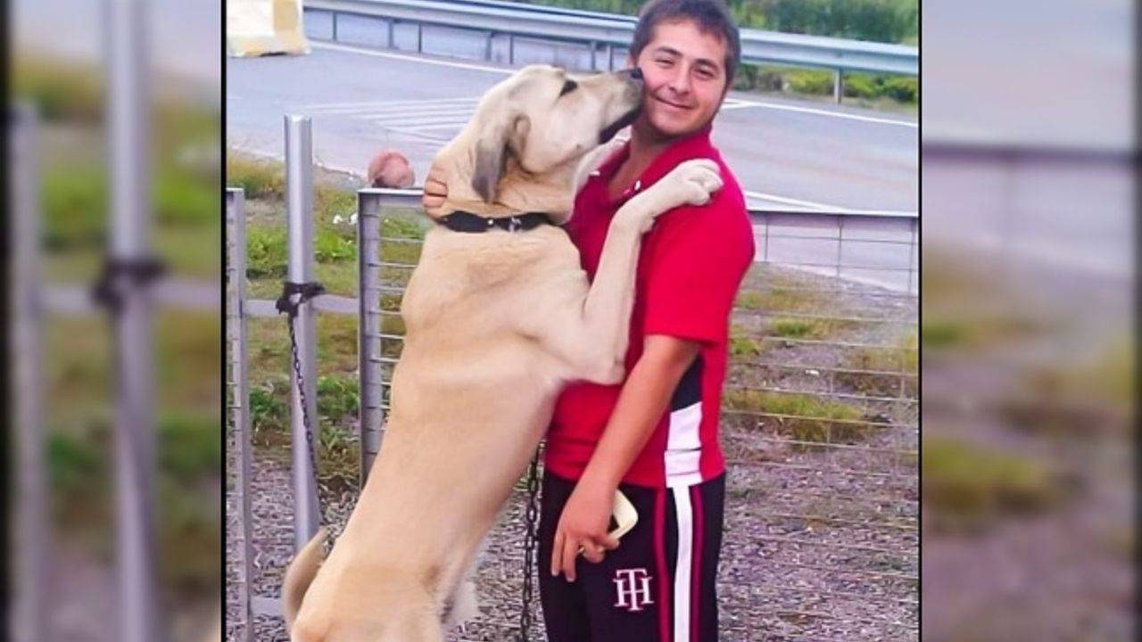 İbrahim Görkem Çiler kabri başında anılacak