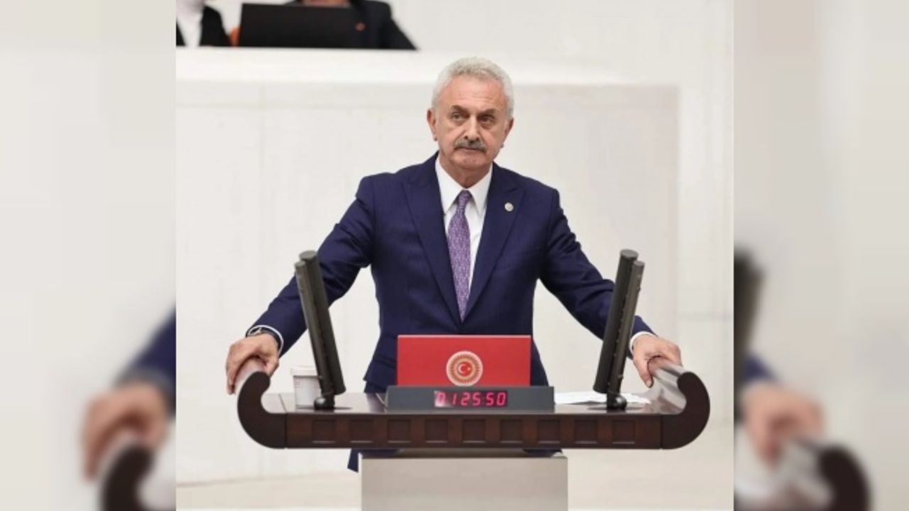 CHP'li Çiler'den sokak hayvanları için soru önergesi