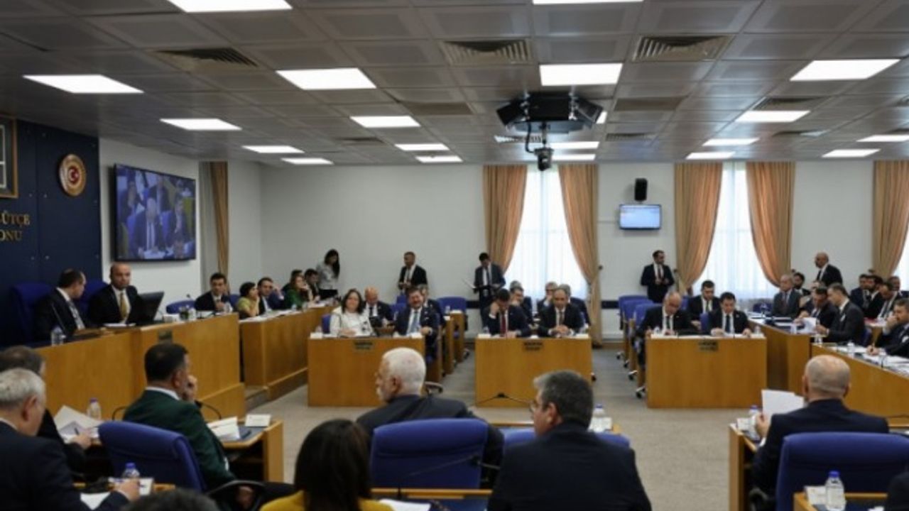 Kamuda Tasarruf Tedbirleri kanun teklifi TBMM Komisyonu'nda kabul edildi
