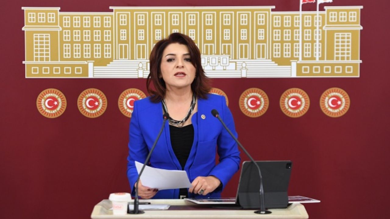 CHP Milletvekili Gülcan Kış: AKP’nin Sit Alanlarını İmara Açmasına Burada İzin Vermeyeceğiz!