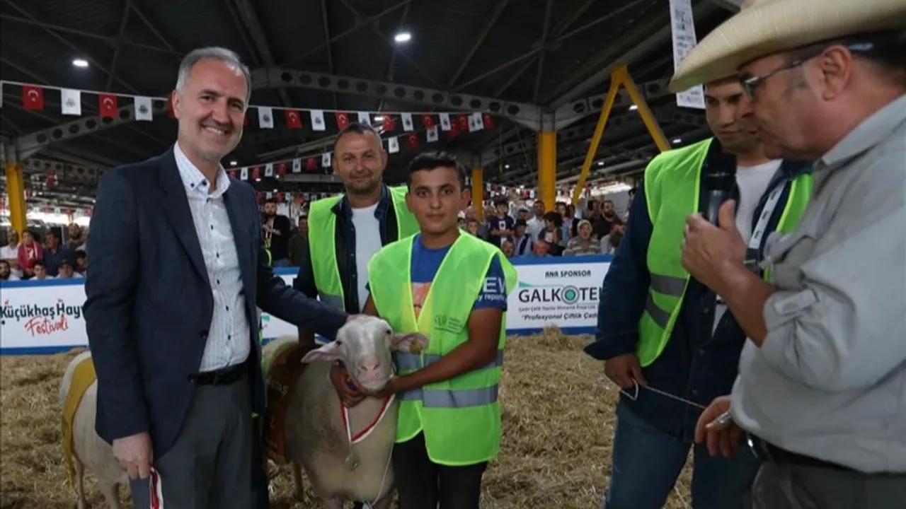 İnegöl'de yerli tavuk ırkları ile koçlar podyuma çıkacak