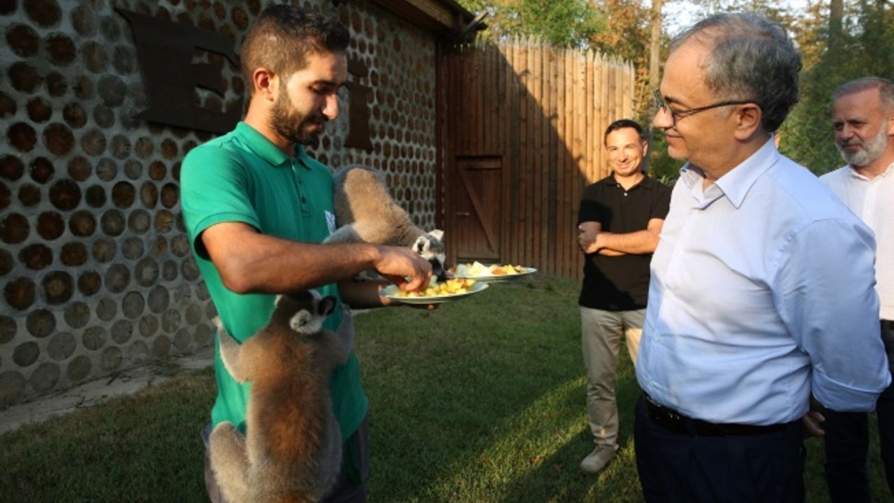 Baraçlı: Ormanya marka yönetiminin en güzel örneği