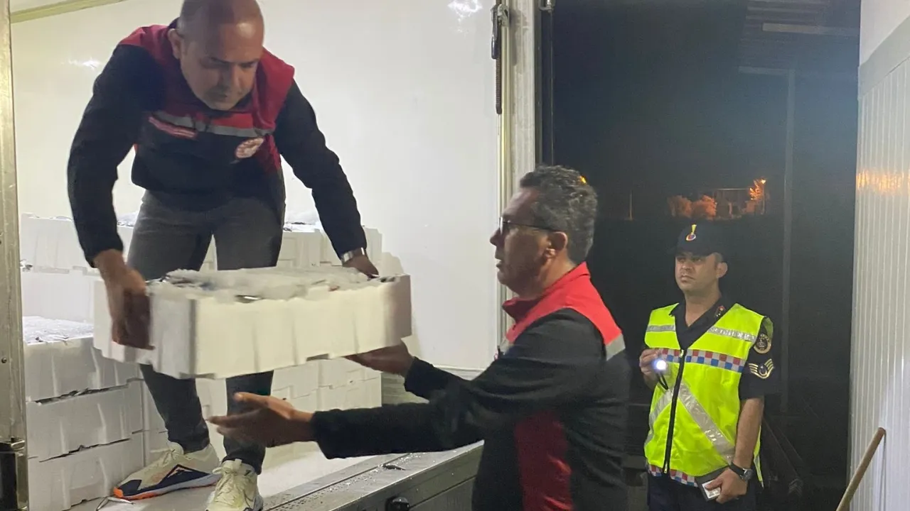 İzmir'de yasadışı avlanan bin 430 kilogram hamsiye el konuldu