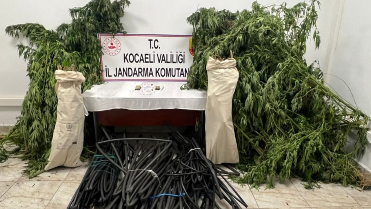 Kandıra ve Karamürsel'de uyuşturucu operasyonu