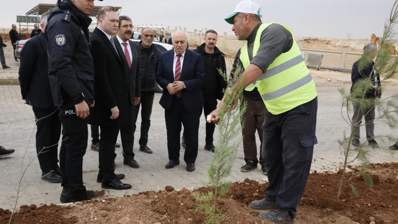 Mardin Yeşilli 2.ci OSB’de binlerce ağaç toprakla buluştu