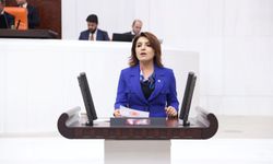 CHP'li Gülcan Kış: “Bakan derhal istifa etmelidir!”