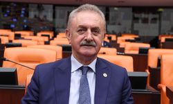 CHP’li Çiler Zeytinlikleri Bakana Sordu