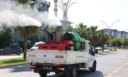 Çayırova’da vektörle mücadele yapılıyor