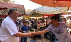 Gürer: Patates tarladan sofraya değil, çöpe gidiyor