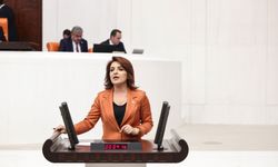 CHP’li Gülcan Kış: Sözde İklim Yasası Türkiye’ye ve Mersin’e İhanettir
