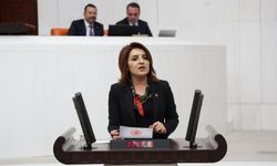 “Orman yoksa hayat yok, bu vurdumduymazlığa seyirci kalmayacağız!”