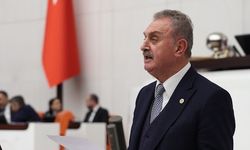 CHP'li Çiler'den Pençe-Kilit faciası için soru önergesi: "İhmal mi var"