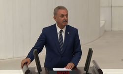 CHP'li Çiler: Demokrasiye İpotek Koydunuz!