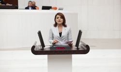 CHP'li Gülcan Kış: Akbelen kavşağında neler oluyor?