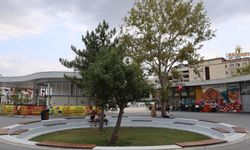 Milli İrade Meydanı’na 15 farklı türde 316 fidan ekildi