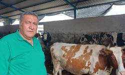 “Üretici bir litre süt satıp bir bardak çay içemez hale geldi”