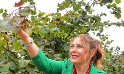 CHP'li Gezmiş: Taban Fiyat 250-300 TL Bandında Olmalı!