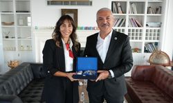 Gebze Ticaret Odası’ndan  Green Chemıcals A.Ş.’ye Ziyaret