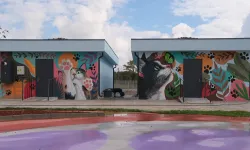 Sakarya'da Doğal Yaşam Kampüsü’ne sanatla dokunuş