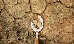 TEMA Vakfı: Toprak Yoksa Su, Su Yoksa Gıda Yok!