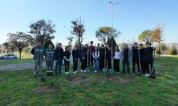 Çayırovalı öğrenciler fidan dikti