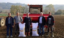 Kocaeli'de hibeli tohumlar toprakla buluştu