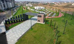 Kocaeli’nin dört bir yanı yeşile bürünüyor