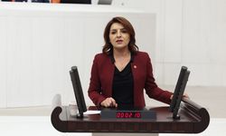 Gülcan Kış: Sadece beyinler değil, umutlar da göç ediyor!
