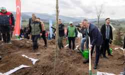 Karamürsel’de yanan bölge 3 bin fidanla yeniden yeşerecek