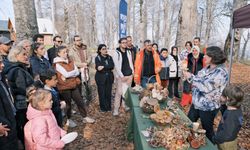 Kuzuyayla’da mantarların gizemli dünyası keşfedildi
