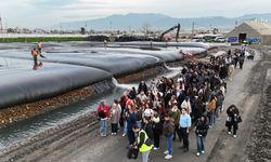 250 futbol sahası büyüklüğünde alan temizlendi