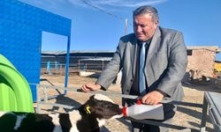 “Sütün kaymağını üreten de tüketen de yiyemiyor”