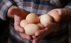 Büyükşehir Belediyesi Üreticiye Can Suyu Oldu