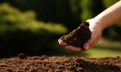 TEMA Vakfı: Sağlıklı topraklara ihtiyacımız var!