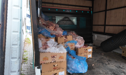 Çayırova'da merdiven altı tavuk tesisine mühür