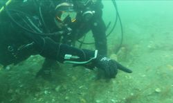 Büyükakın bu kez Gebze Eskihisar’da dalış yaptı