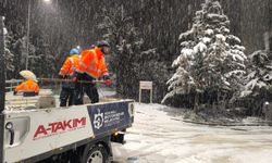 1.200 personel ve 354 araçla  karla mücadele!