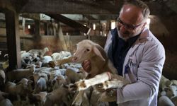 Kocaeli'de çiftçilere 166 milyon TL’lik destek