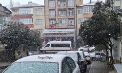 Gebze'de hafif ve aralıklı kar yağışı