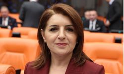 CHP'li Gülcan Kış, Ahmet ve Atlas'ı gündeme taşıdı