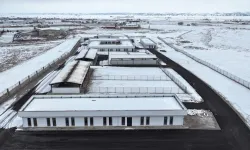 Kayseri Kocasinan'dan sokak hayvanları için sıcak yuva