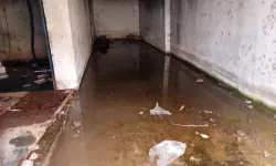 Keşan Balık Hali esnafı kanalizasyon mağduru!