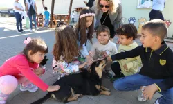 Muğla Büyükşehir 4 bin 34 cana yuva oldu