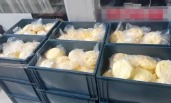 Ordu'da zabıta ekiplerinden şok gıda denetimi!