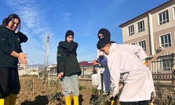 Hatay’a Depremde Yitirilen Öğretmenler İçin Zeytinlik